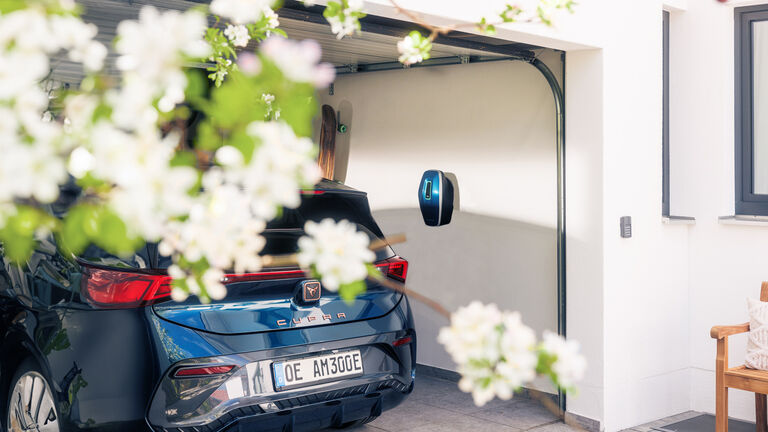 imageBig.0.properties.alternative